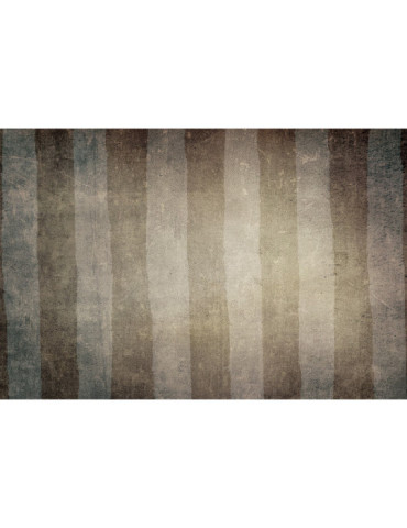 Vinylteppich - 60x90 cm - Poziome pasy 2